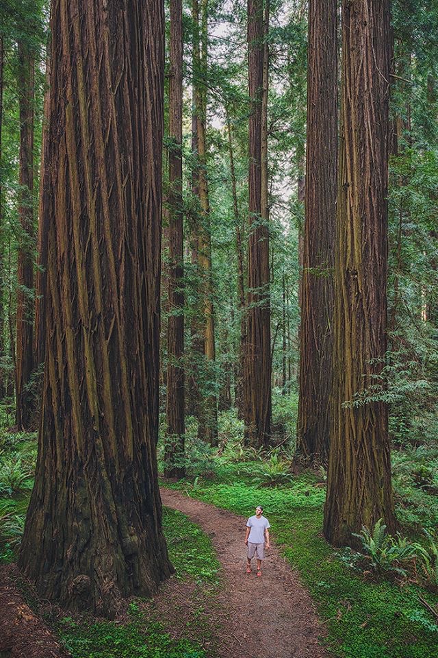 Trail photography from the Shoyz Trail