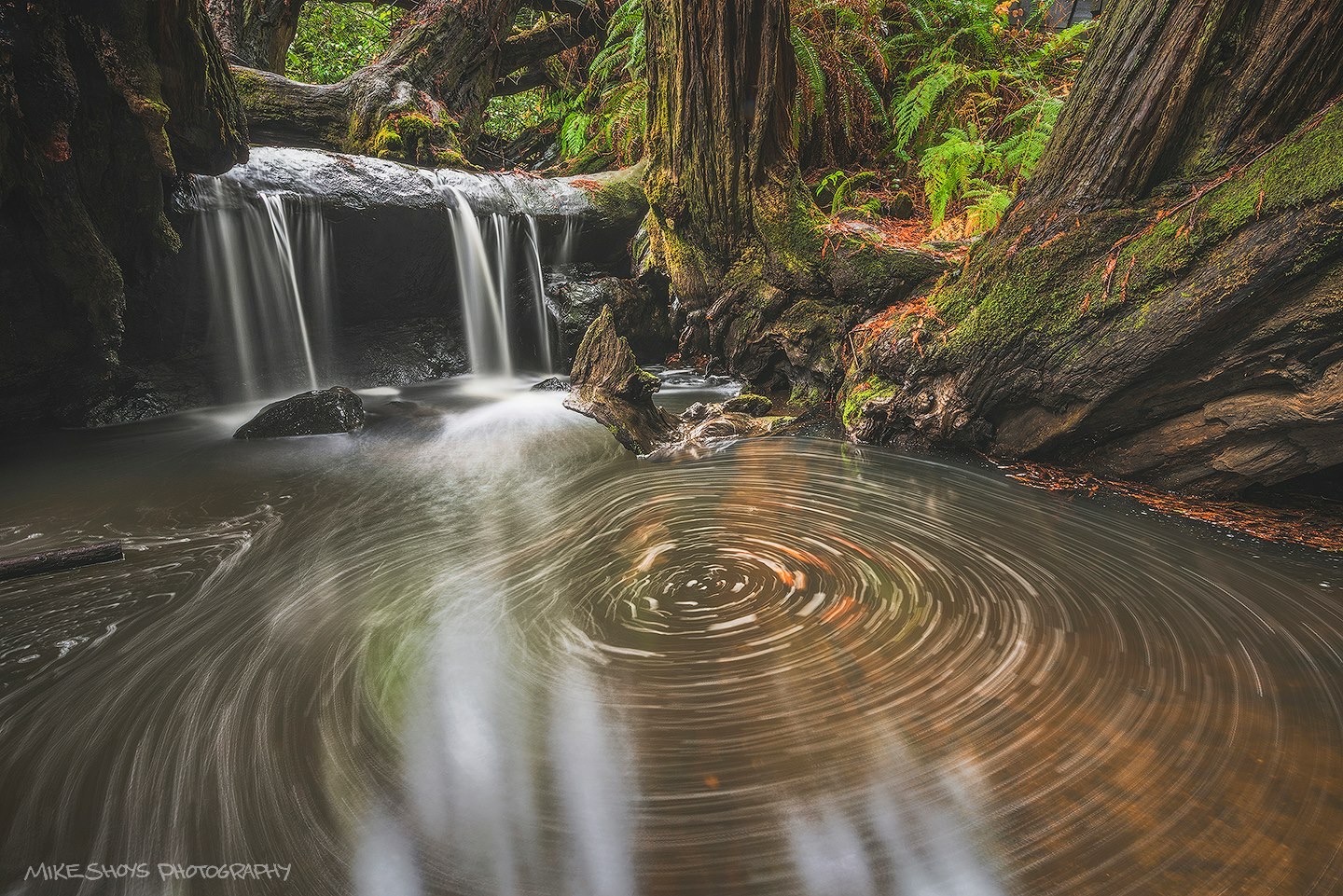 Trail photography from the Shoyz Trail